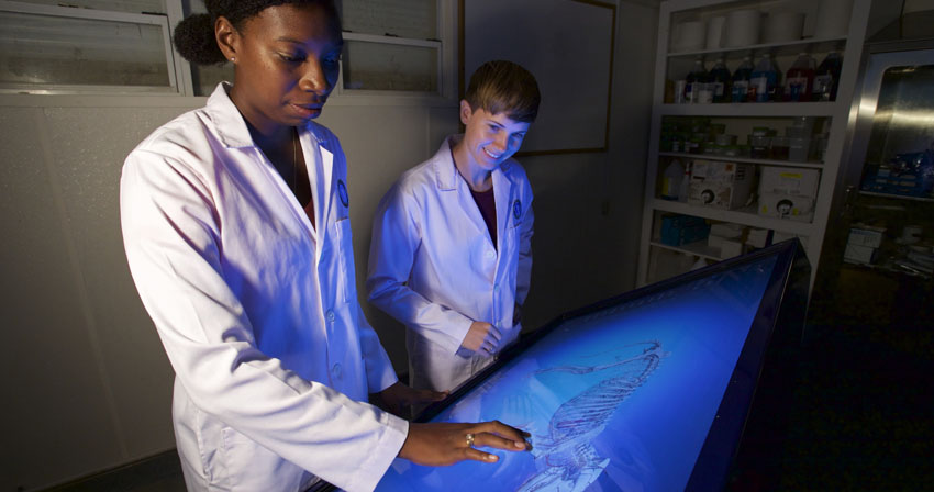 RUSVM: Going Viral with One Health RUSVM students