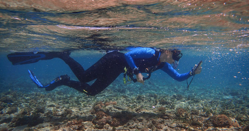 Under The Sea: Students Take the Lead in Ocean Research Opportunities Student swimming in coral