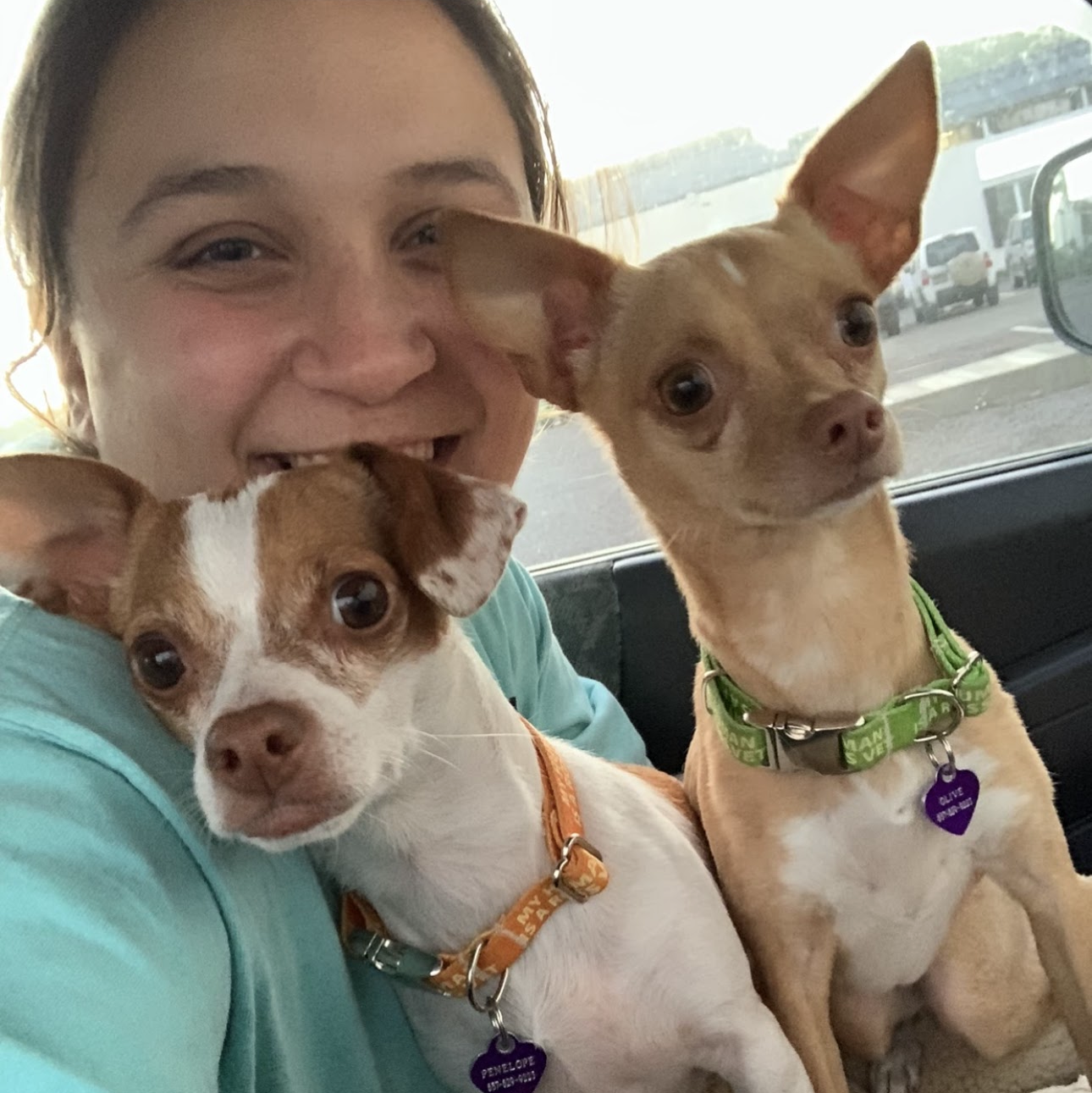 Woman and two small dogs