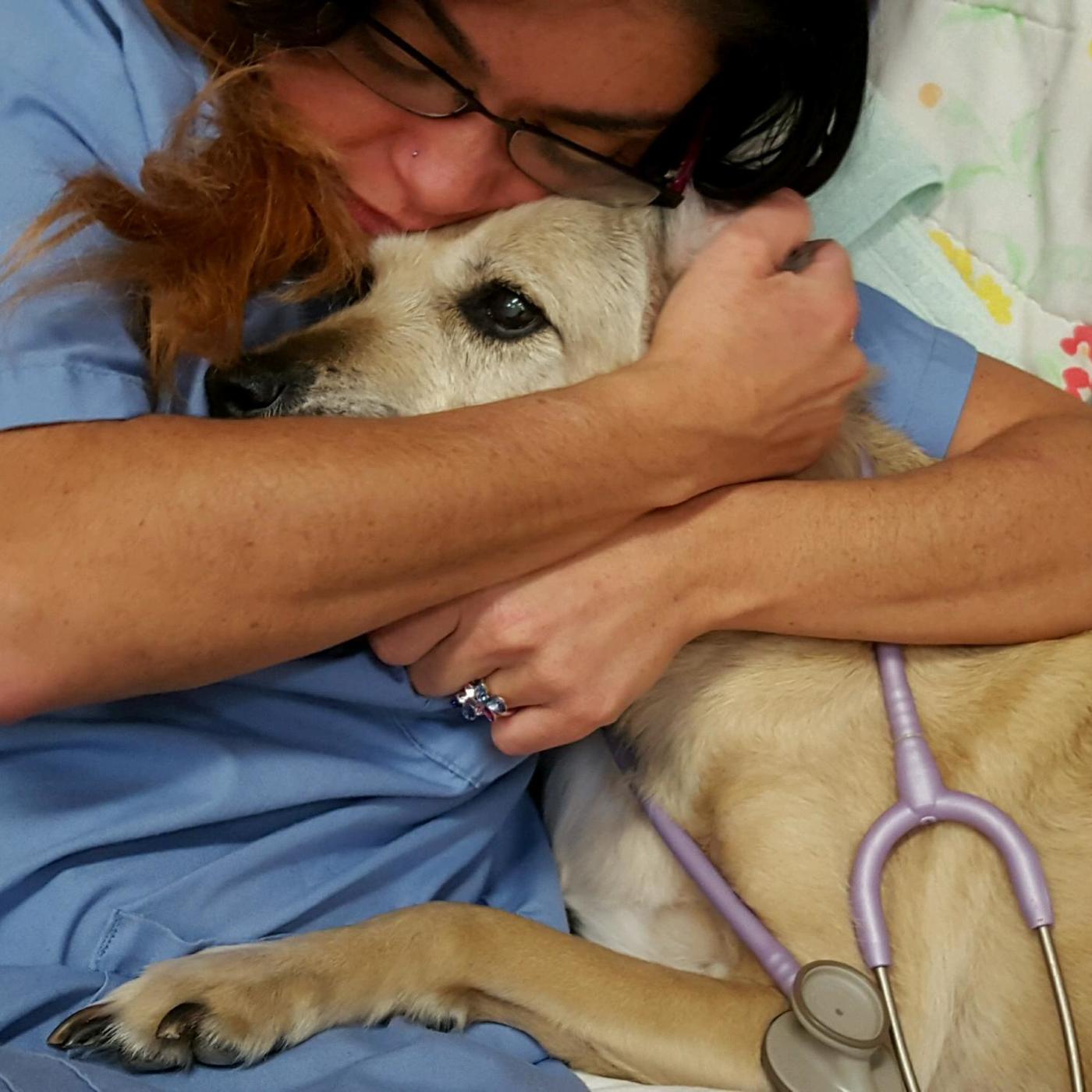 Woman in blue scrubs hugging a large dog