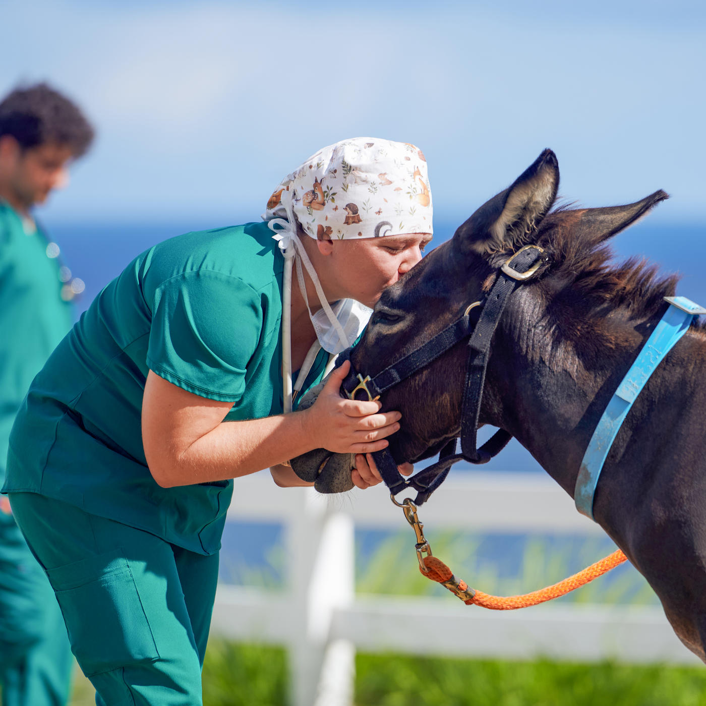 Vet kissing donkey on the head