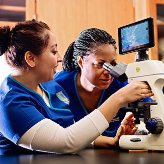 Chamberlain nurses viewing through a microscope