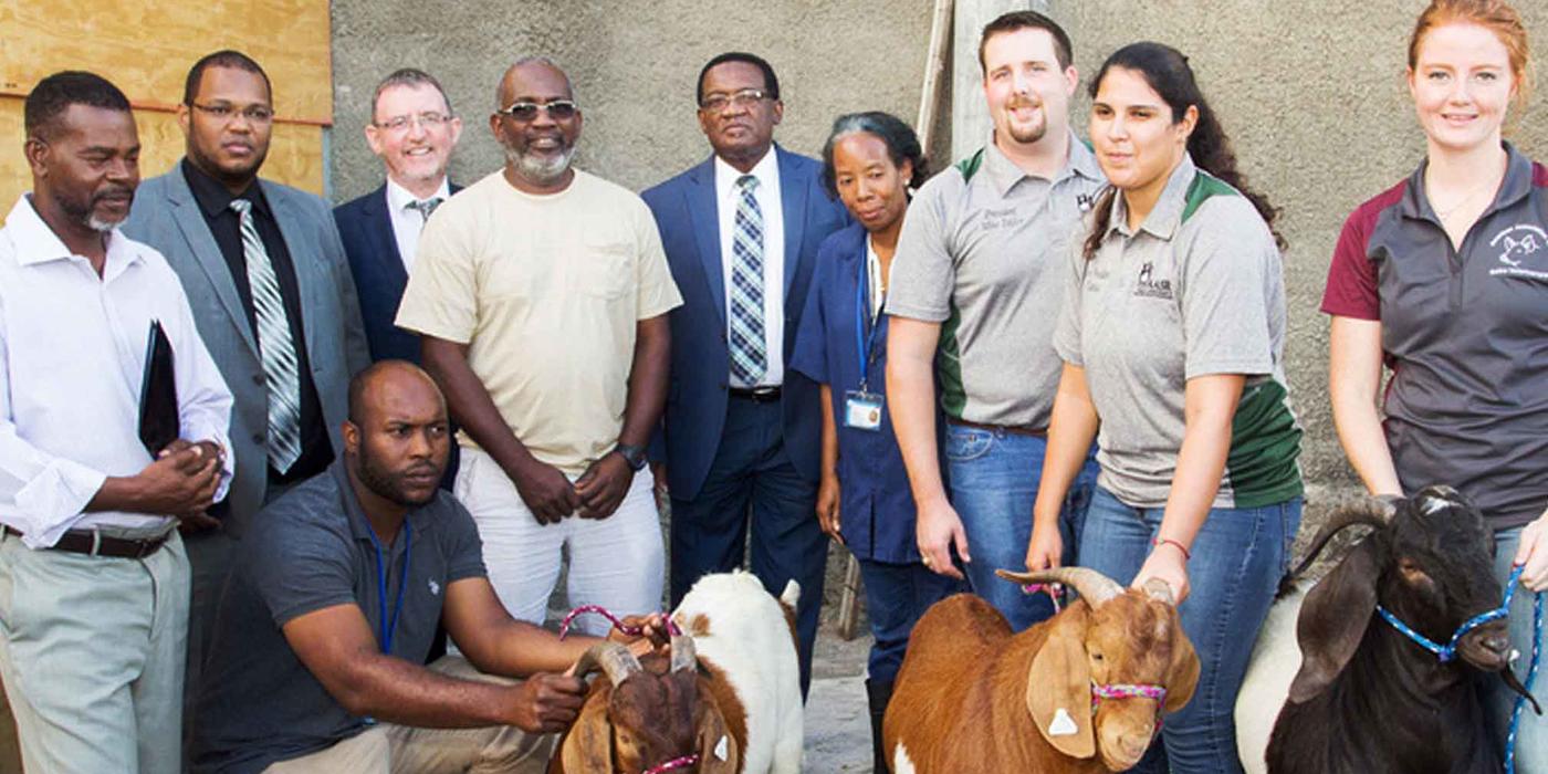 Ross Vet team and partners standing with goats