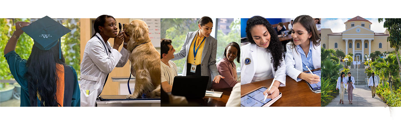 Collage of five images showing a graduate, vet, classroom, students and campus.