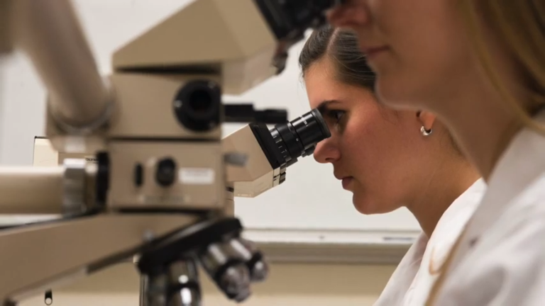 person looking into microscope