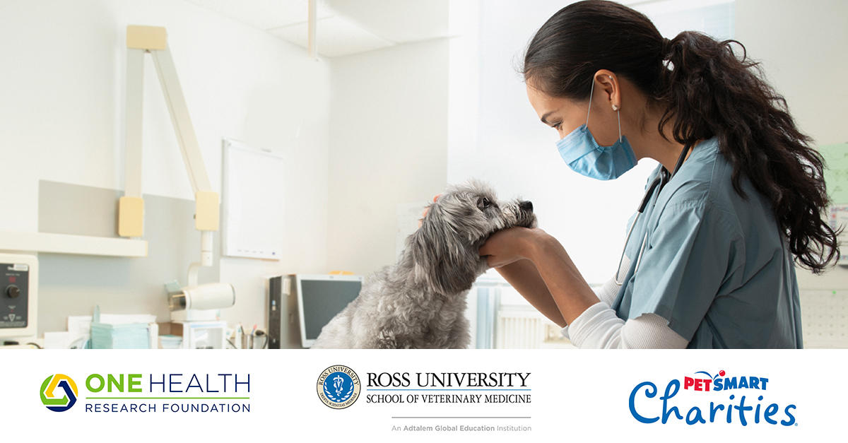 A veterinarian examining a dog over the One Health, Ross University and Petsmart Charities logos