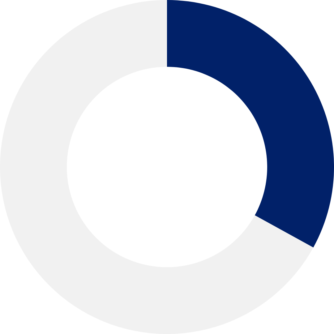 Board of Directors Female - 33%