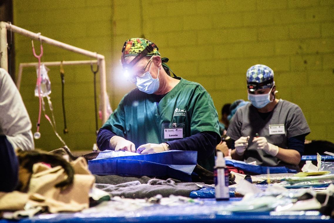 Lonnie Kasman performing a procedure
