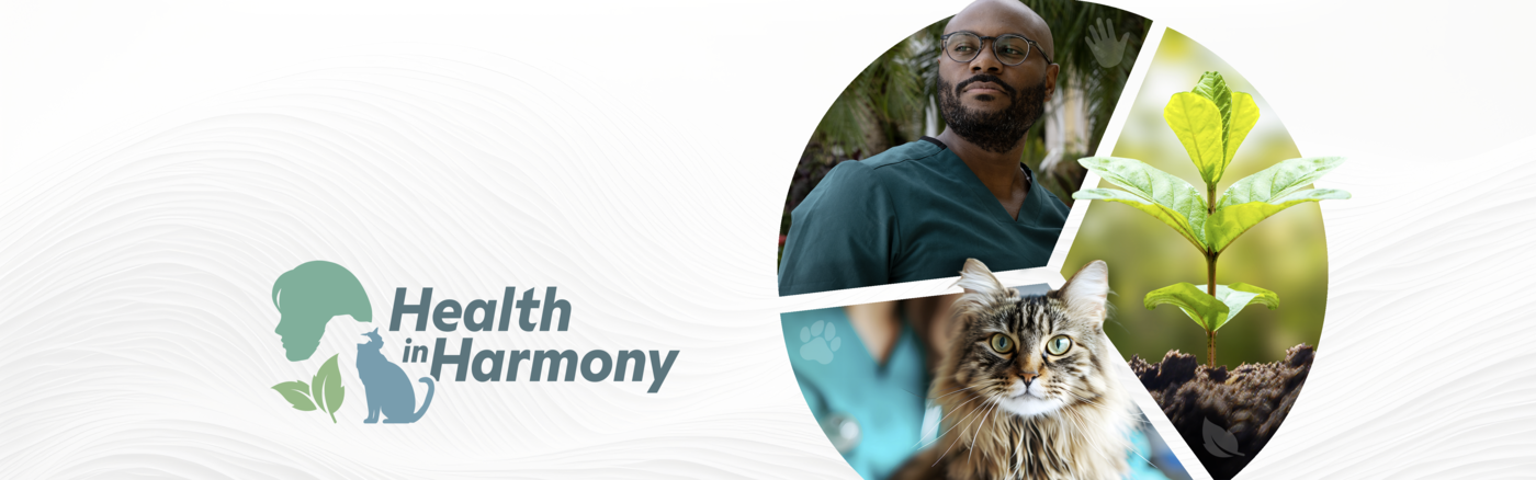 Health in Harmony logo next to three-quadrant split image of a man, a cat and a plant.