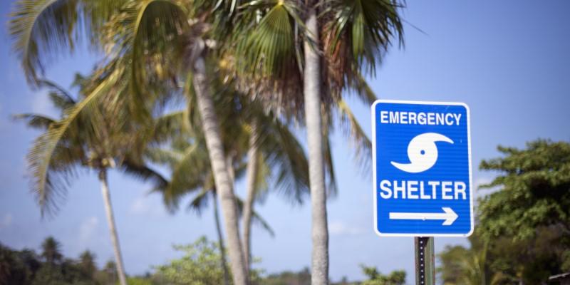 Blue sky with palm trees and a sign that says 'Emergency Shelter'.