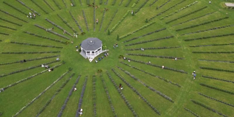 Overhead shot of gazebo at Lavender Waves Farm, American University of The Caribbean-adtalem-800x400