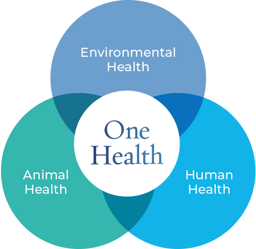 Graph showing One Health diagram how people, animal and environmental health overlap.