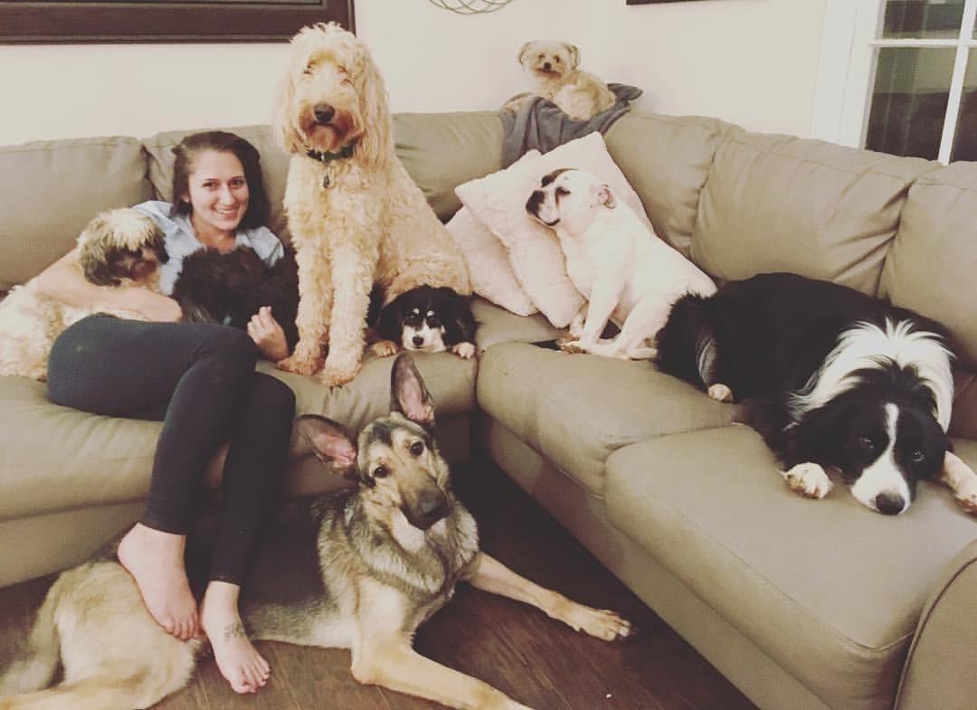 Woman on large couch with 8 dogs.