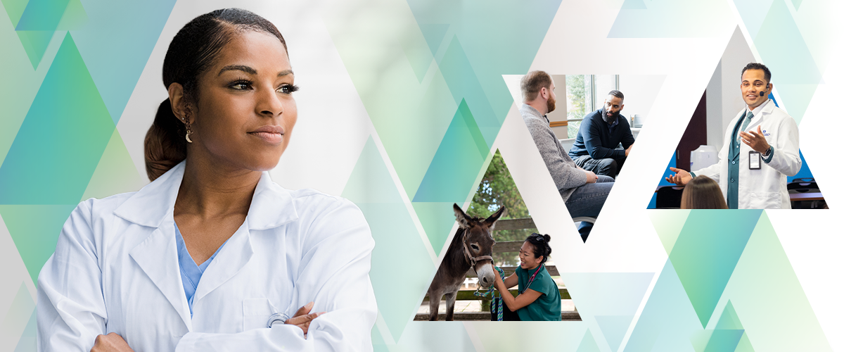 Collage of medical professionals in various triangle shapes.