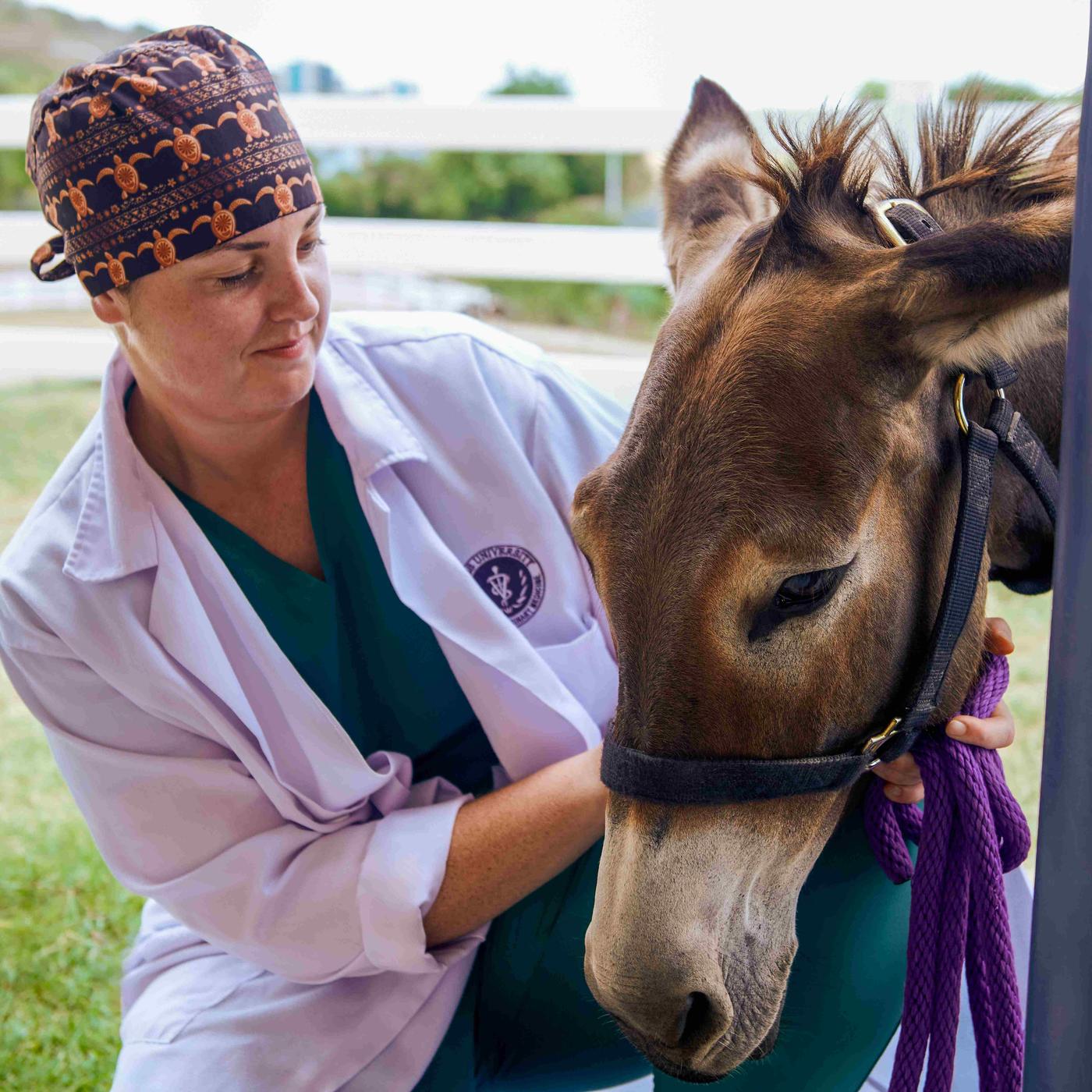 Veterinarian in white lab coat with donkey