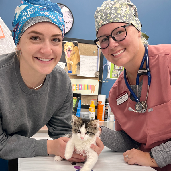 Two veterinarians in scrubs posing with a kitten
