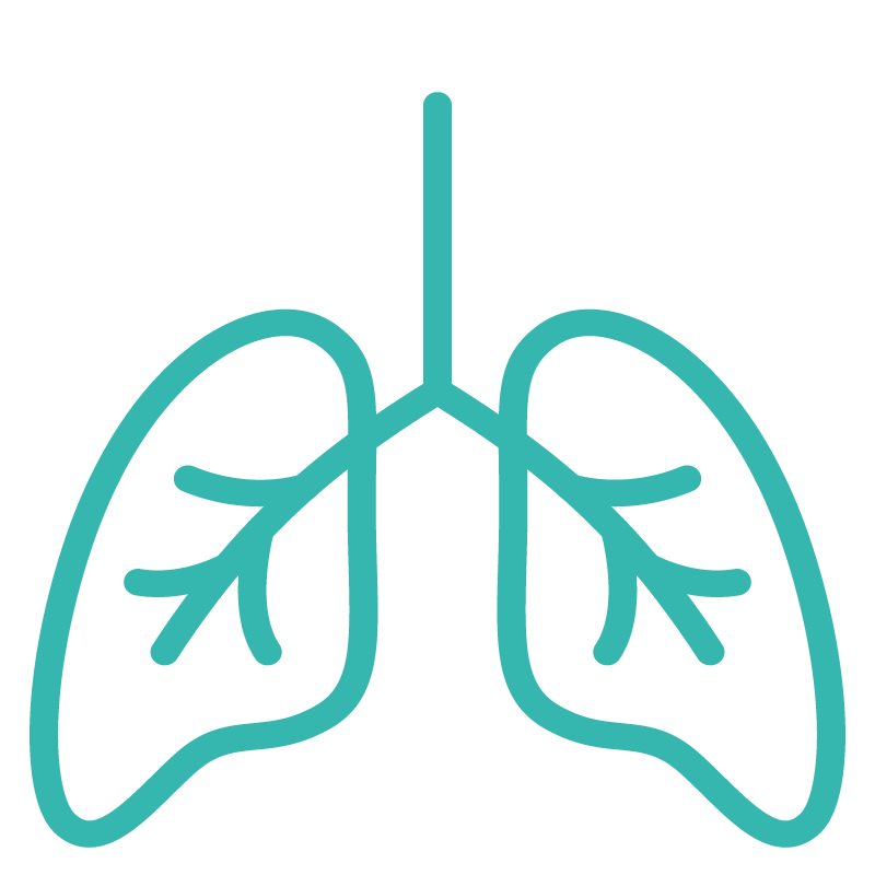 outline of lungs