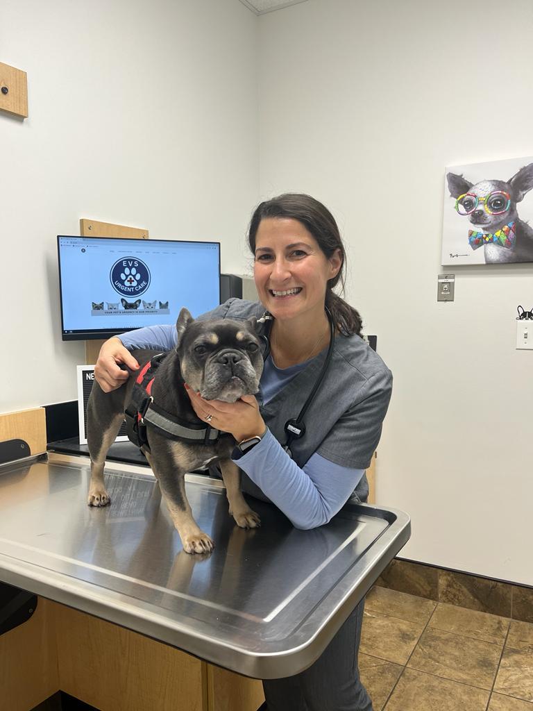 Dr. Jordana Eisenstein, RUSVM alumna, examining a dog