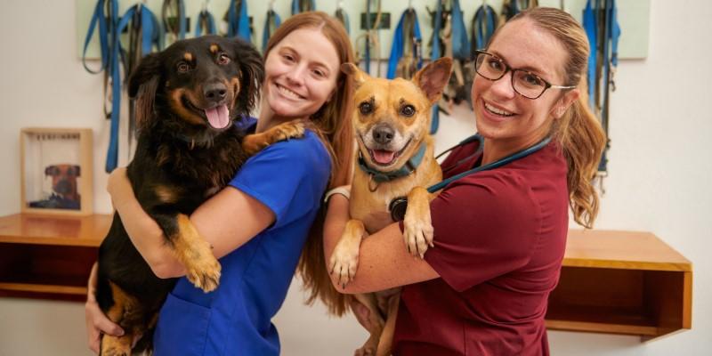 Two female vet professionals holding dogs