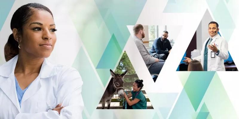 Collage of medical professionals in various triangle shapes.