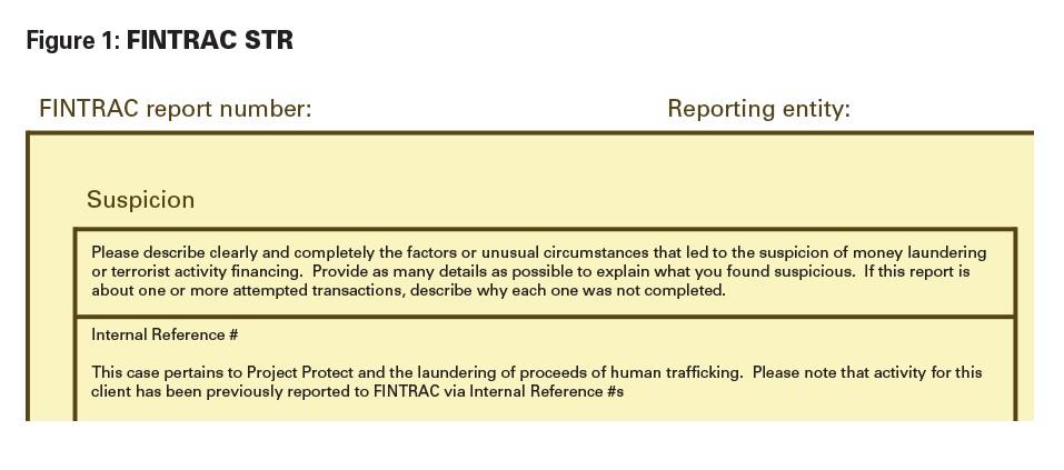 figure showing report summary