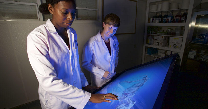 Students viewing model on a large screen