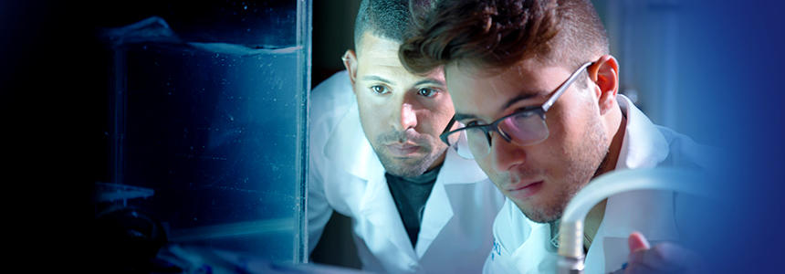 two doctors working in a lab